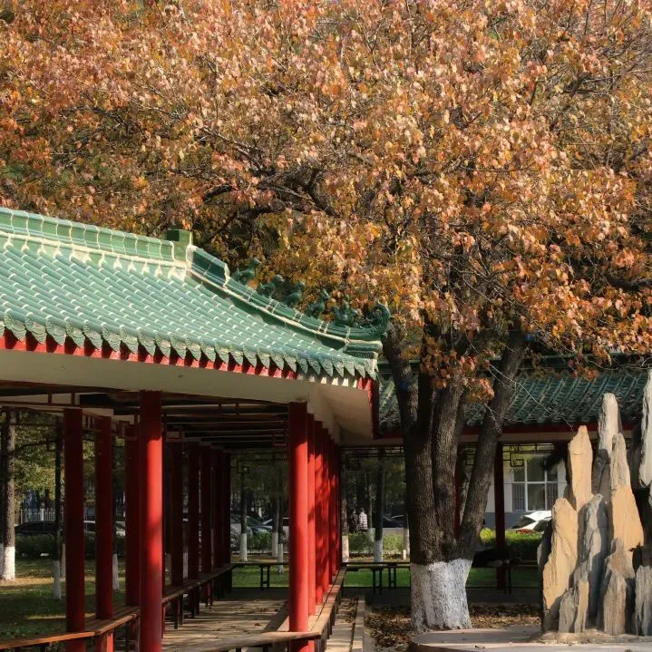 适合不同年龄段篮球爱好者的体能训练方案_2
